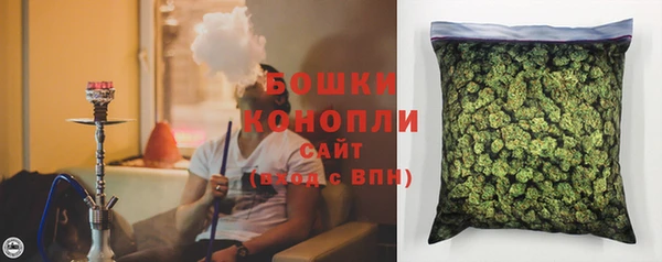 PSILOCYBIN Белоозёрский