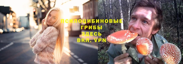 PSILOCYBIN Белоозёрский