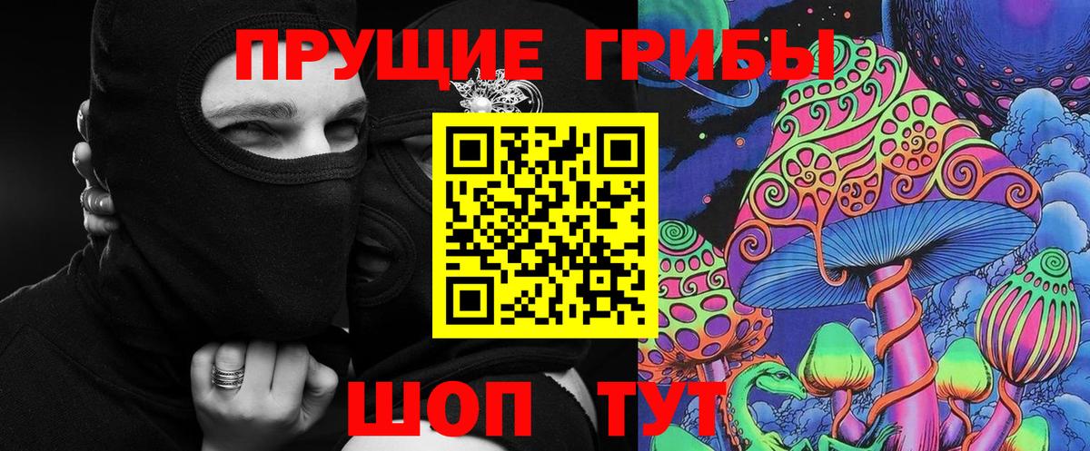 Псилоцибиновые грибы Cubensis Бузулук