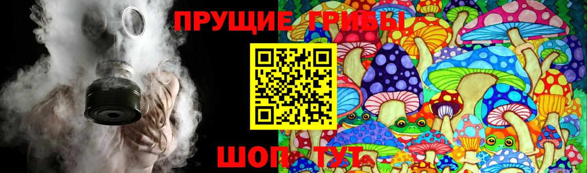 как найти наркотики  Псилоцибиновые грибы мицелий  Вход с VPN  Бузулук 