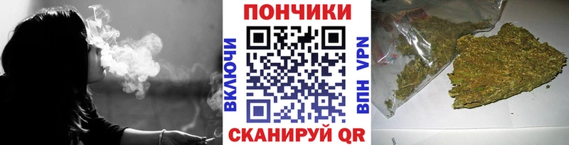 как найти наркотики  Бузулук  Конопля гибрид 